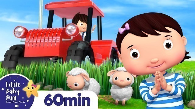 'Tractor Song | Vehicle Songs for Kids | +More Nursery Rhymes | ABCs and 123s | Little Baby Bum'