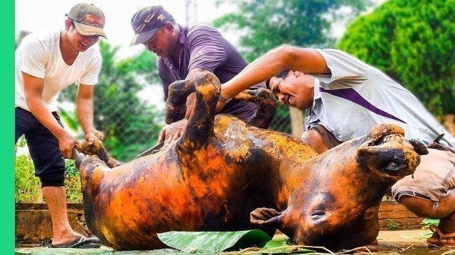 'Cooking a WHOLE COW in 4 HOURS!! Vietnam Village Life!!! | Surviving Vietnam Part 5'