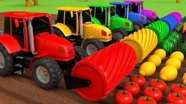 'Harvesting Fruits and Vegetables with Tractors Learn Colors for Kids Children | ZORIP'