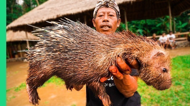 'EXTREME BALI!!! RARE Sacred Animal Meal in Bali, Indonesia!!! (Once every ten years)'