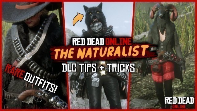 'New RARE Outfits + Legendary Animal Guide | RDO | PS4'