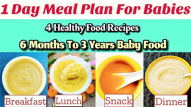 '1 Day Meal Plan For Babies & Toddlers/ 6+ Months Baby Food/ Breakfast,Lunch, Snack & Dinner Recipes'