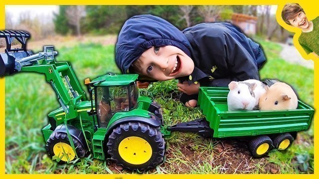 'Tractors Harvesting Hay For Guinea Pigs!'