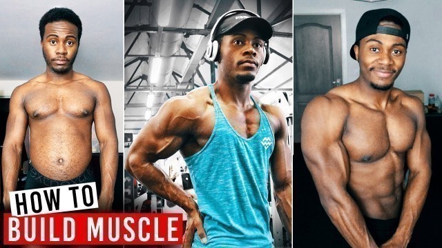 'How to Start Weight Training To Build Muscle | Complete Beginners Guide'