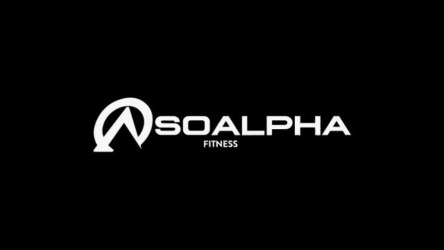 'Exercise Ball, Ab Wheel, Knee Sleeves, & More Fitness Gear - SoAlpha com'