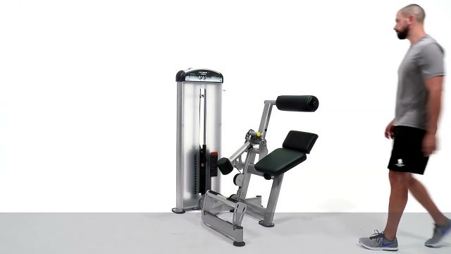 'True Fitness FUSE-1300 Low Back Extension | Fitness Direct'