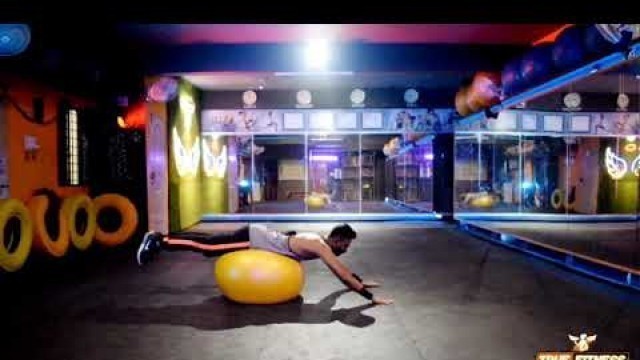 'SWISS BALL | WORKOUT | TRUE FITNESS'