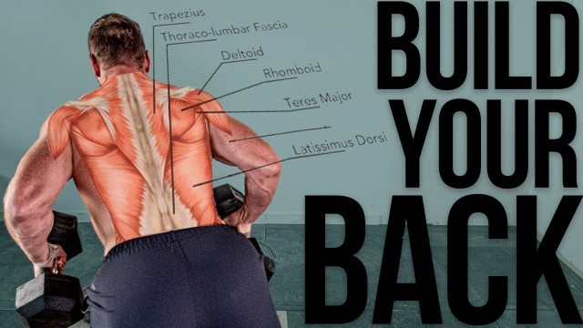 'Best Back Exercise - Chest Supported Rows DBs & BB (Form for targeting right muscles)'