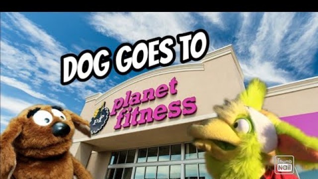 'EXTREME DOG WORK OUT?? PLANET FITNESS! | JustinTalksPuppets'