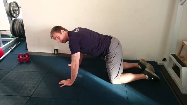 'Easy posture and lower back exercise - Nielsen Fitness in home personal training   5 minute soluti'