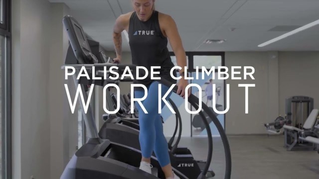 'True Fitness Palisade Climber | Fitness Direct'