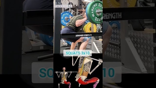 'How Squats Works @onlinephysical #fitness #gym #exercise #squats'