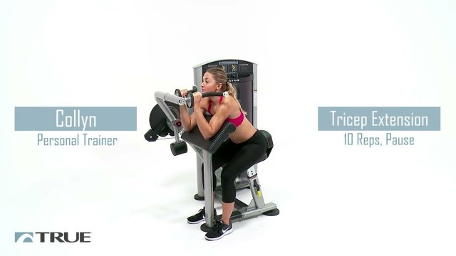 'True Fitness Biceps Triceps Workout | Fitness Direct'