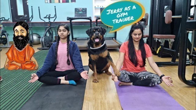 'Jerry become a gym trainer | dog training video | funny dog video |'