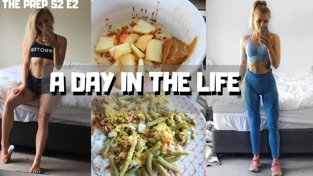 'FULL DAY OF EATING // VEGAN BIKINI COMPETITOR 