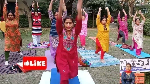 'Body fitness exercise | P T Yoga | Yoga for beginners | weight loss excercise | वजन कैसे कम करे'