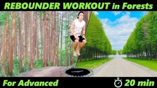 '【20 min Rebounder WORKOUT#3】For Advanced｜Mini Trampoline Fitness For Weight Loss｜In Forests'