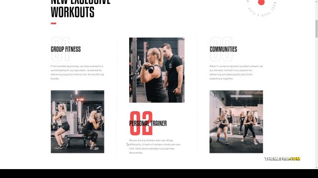 'Fitlap - Gym and Fitness Club WordPress Theme health clean Araki'