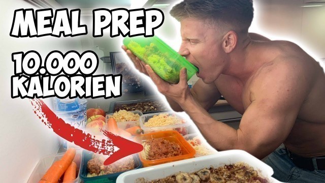 'MEAL PREP 10000 KALORIEN für 3 KOMPLETTE TAGE'