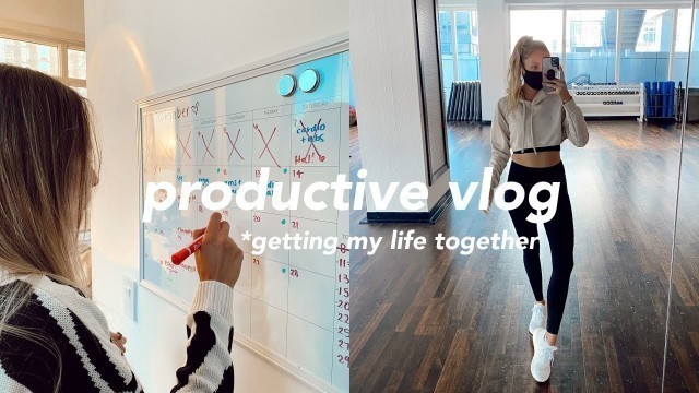 '*very productive VLOG* | getting my life together! (meal prep, back in the gym, & planning)'