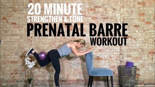 '20 Minute Prenatal Barre Workout: 1st 2nd & 3rd Trimester Friendly! Total Body, Lower Body Focus'