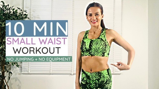 '10 MIN DANCER\'S WAIST Workout (Barre Inspired)'