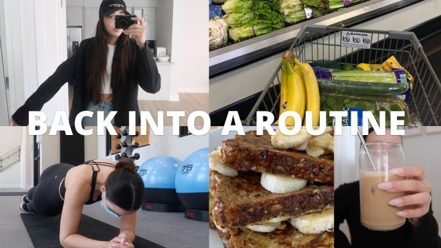 'GETTING BACK INTO A ROUTINE: Meal Prep Ideas, HUGE Grocery Haul, Ab Workout, + recipes'