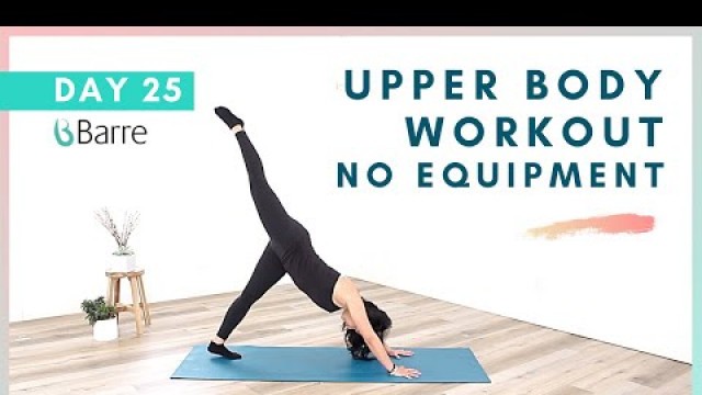 'DAY 25 Barre Workout Challenge // No Equipment Upper Body Workout'