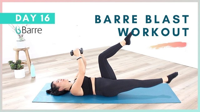 'DAY 16 Barre Workout Challenge // 5 Min Chest and Core Workout'