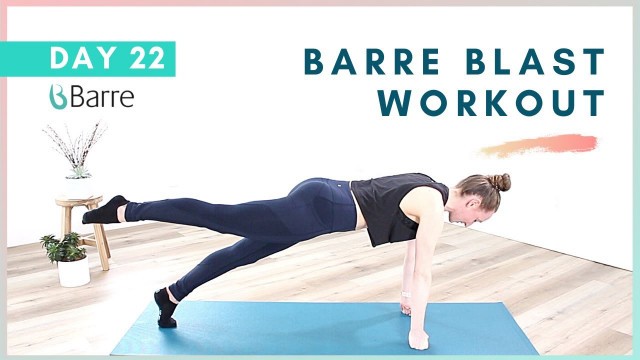 'DAY 22 Barre Workout Challenge // 5 Min Abs + Core Workout Plank'