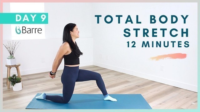 'DAY 9 Barre Workout Challenge // 12 Min. Total Body Stretch for Flexibility, Mobility & Breath'