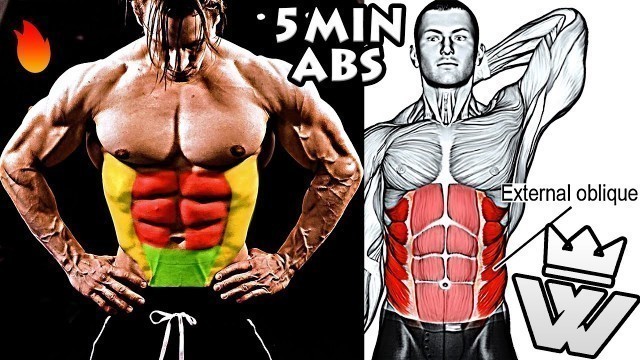 '5 Minute Fat Burning ABS Workout'