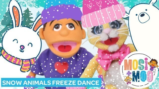 'Snow Animals Freeze Dance Song for Kids ☃️ Educational, Fun, Movement, Fitness