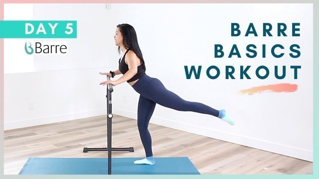 'DAY 5 Barre Workout Challenge // Legs At the Barre Workout'