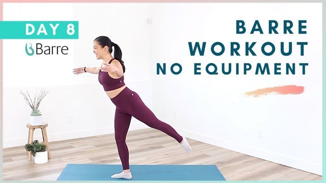 'DAY 8 Barre Workout Challenge // Standing Barre Workout No Equipment'