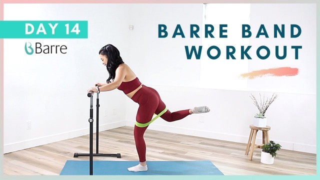 'DAY 14 Barre Workout Challenge // Lower Body Mini Band Workout'